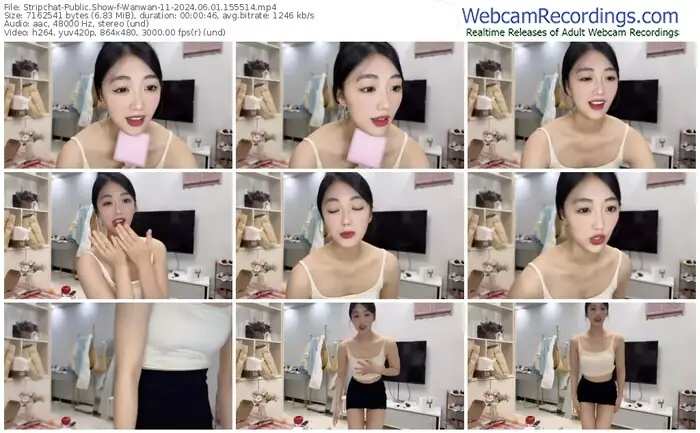 stripchat-wanwan-11-06-01-2024-15-55-14