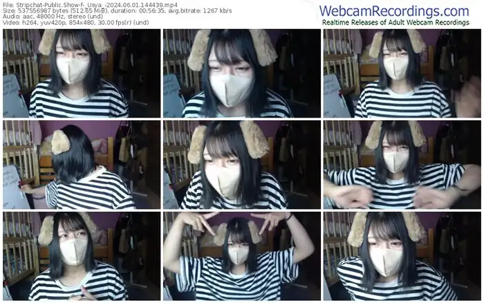 stripchat-_usya_-06-01-2024-14-44-39