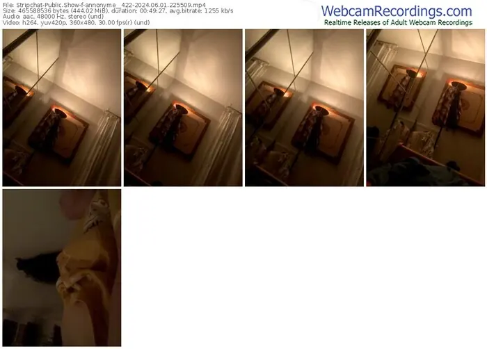 stripchat-annonyme__422-06-01-2024-22-55-09