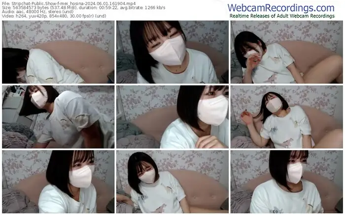 stripchat-mei_hosina-06-01-2024-16-19-04