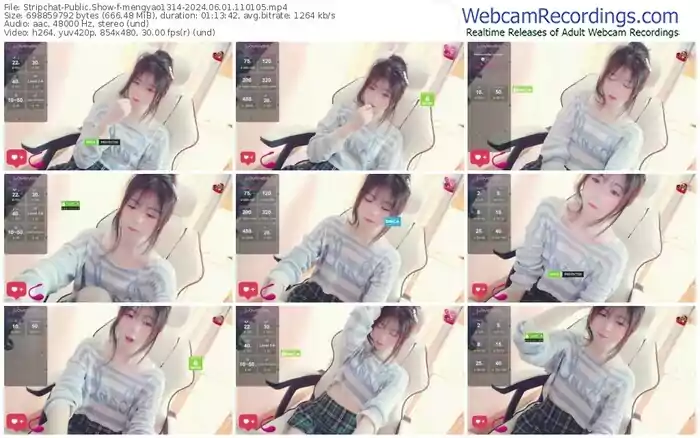 stripchat-mengyao1314-06-01-2024-11-01-05