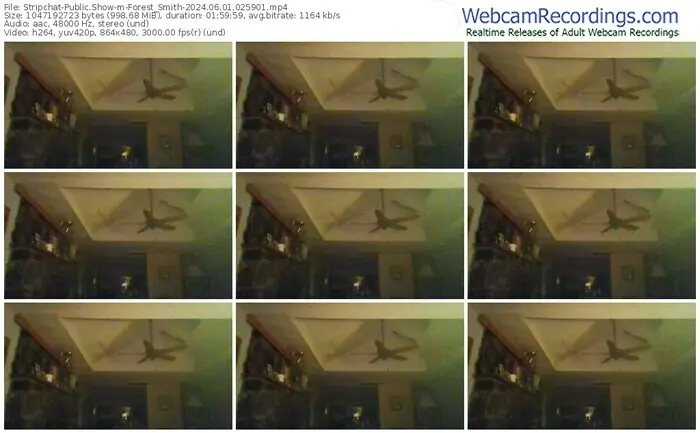 stripchat-forest_smith-06-01-2024-02-59-01