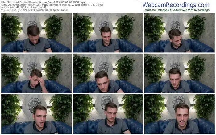 stripchat-miron_dex-06-01-2024-02-38-38