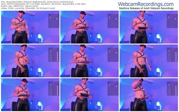 stripchat-nathanwolf1-06-01-2024-02-06-09