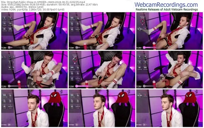 stripchat-spider---man-06-01-2024-02-02-35