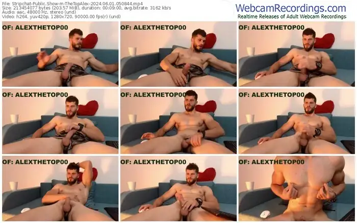 stripchat-thetopalex-06-01-2024-05-08-44