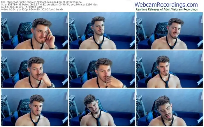 stripchat-wilsonjules-06-01-2024-03-32-36