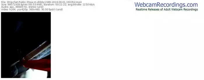 stripchat-dlibby1989-06-01-2024-16-03-52