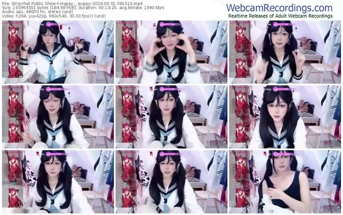 stripchat-happy-_-puppy-06-01-2024-08-10-10