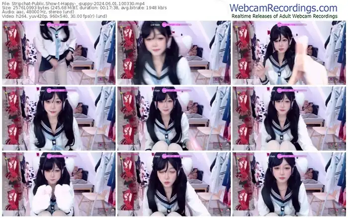 stripchat-happy-_-puppy-06-01-2024-10-03-30