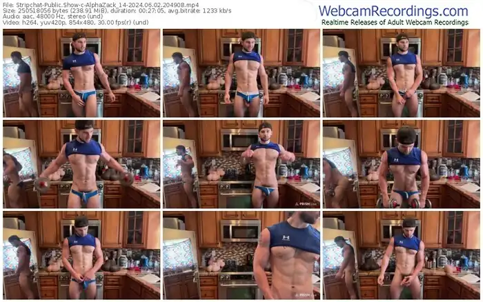 stripchat-alphazack_14-06-02-2024-20-49-08