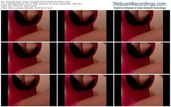 stripchat-malenalove-06-02-2024-02-46-11