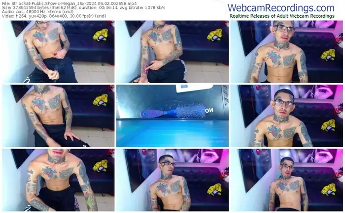 stripchat-megan_19x-06-02-2024-00-26-58