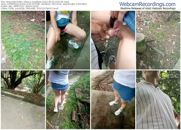 stripchat-snaibest-06-02-2024-21-47-40