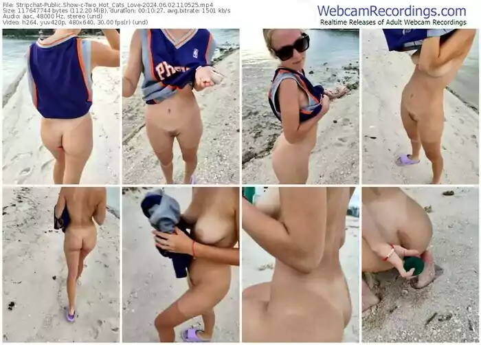 stripchat-two_hot_cats_love-06-02-2024-11-05-25