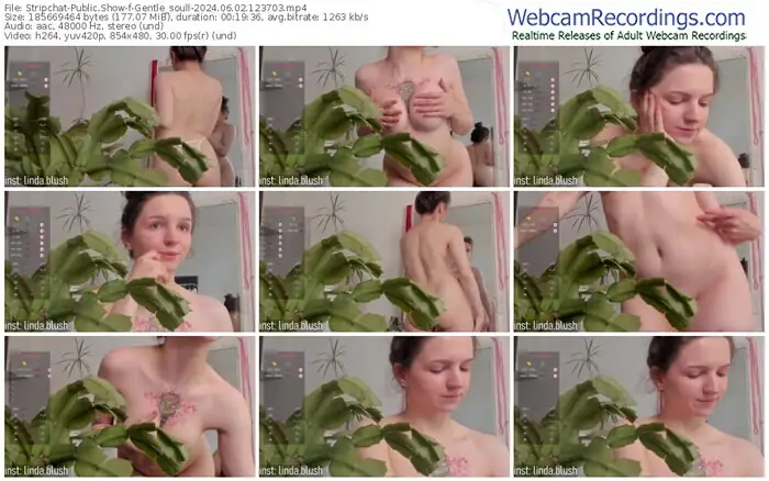 stripchat-gentle_soull-06-02-2024-12-37-03