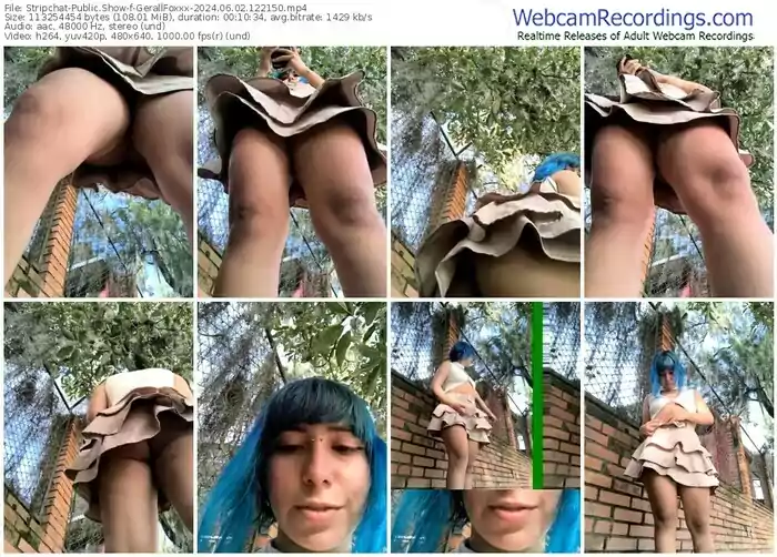 stripchat-gerallfoxxx-06-02-2024-12-21-50