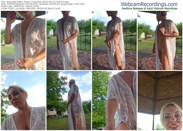 stripchat-hotnessi-06-02-2024-15-20-33