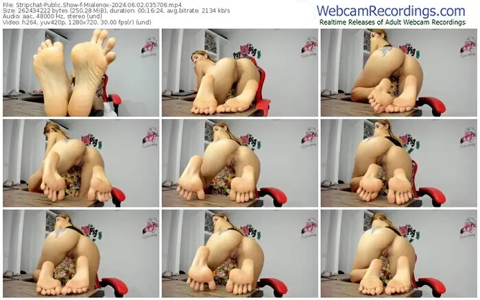 stripchat-mialenox-06-02-2024-03-57-06