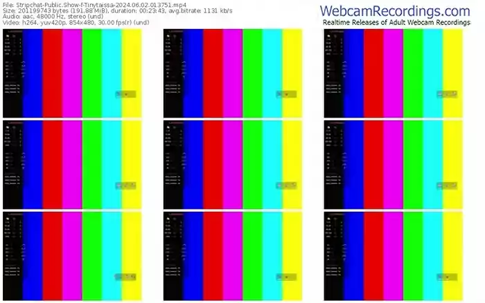 stripchat-tinytaissa-06-02-2024-01-37-51