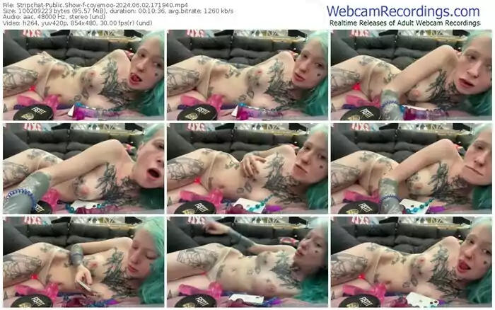 stripchat-coyemoo-06-02-2024-17-19-40