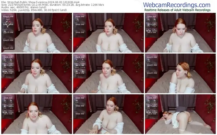 stripchat-viesica-06-02-2024-16-18-28