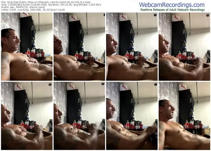 stripchat-pharaoh_cam4u-06-02-2024-04-12-12