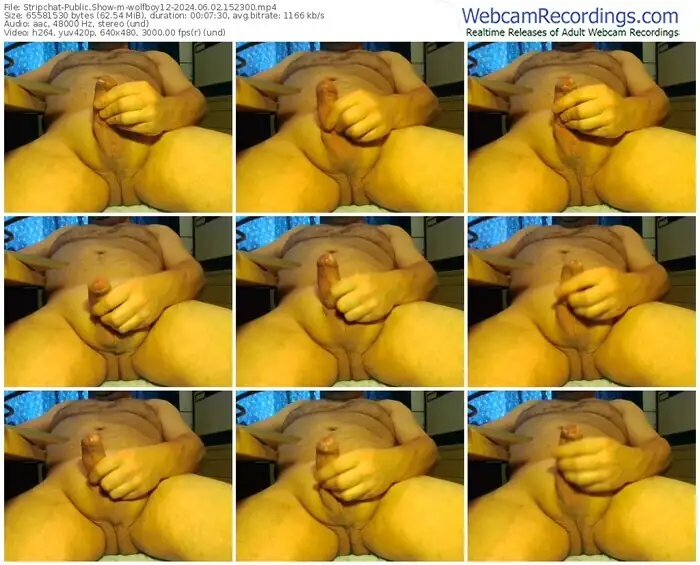 stripchat-wolfboy12-06-02-2024-15-23-00