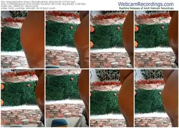 stripchat-michelle_brito1-06-03-2024-11-07-26