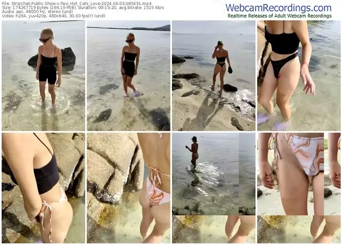 stripchat-two_hot_cats_love-06-03-2024-08-56-31