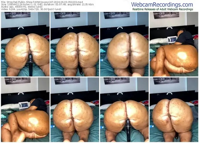 stripchat-kinkypussycat-06-03-2024-05-02-33