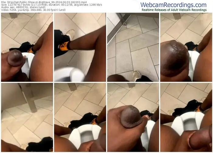 stripchat-bigsteve_99-06-03-2024-18-22-03