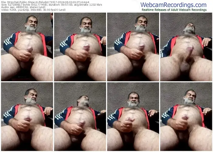stripchat-peludo173317-06-03-2024-01-27-14