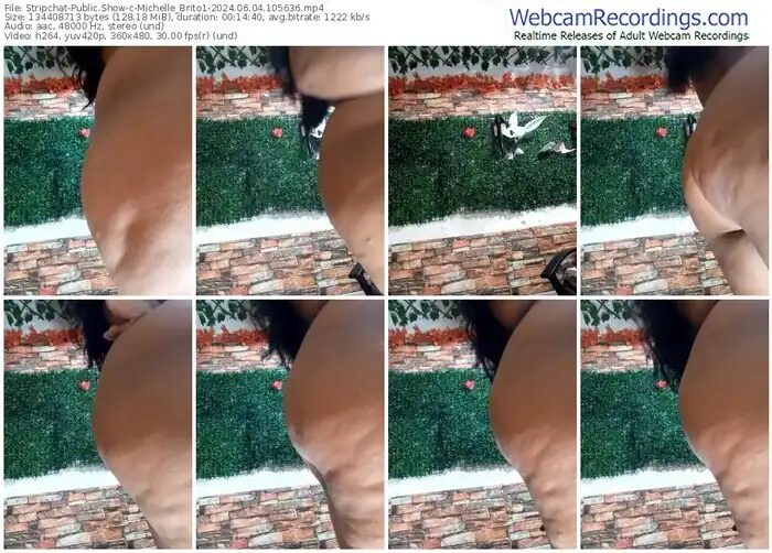 stripchat-michelle_brito1-06-04-2024-10-56-36