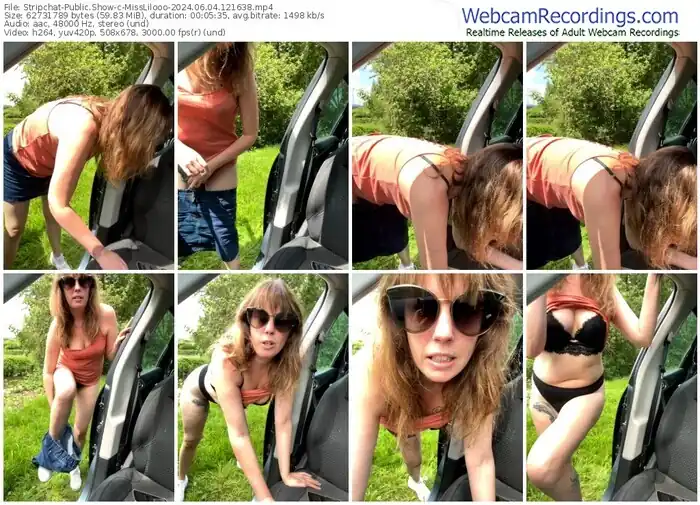 stripchat-misslilooo-06-04-2024-12-16-38