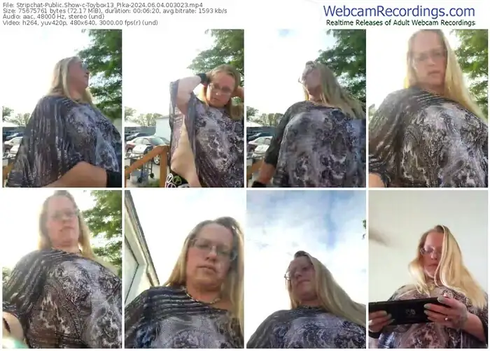 stripchat-toybox13_pika-06-04-2024-00-30-23