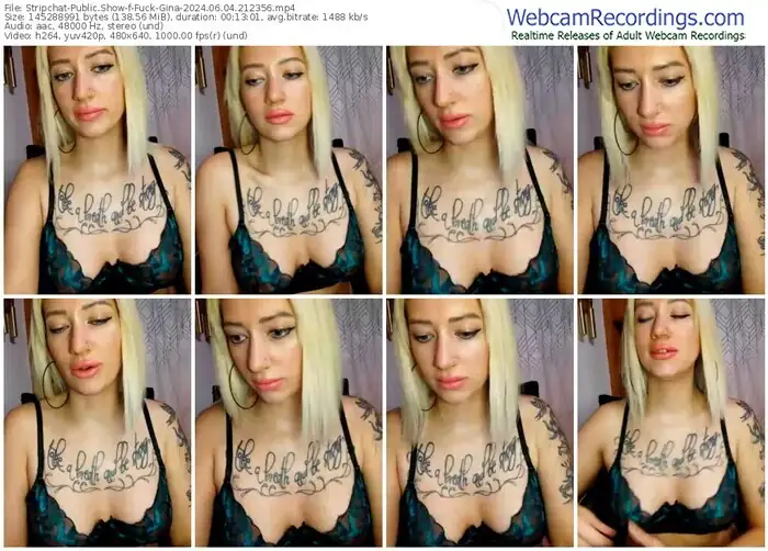 stripchat-fuck-gina-06-04-2024-21-23-56