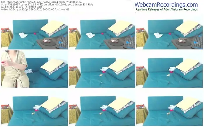 stripchat-lady_rosse_-06-04-2024-23-48-31