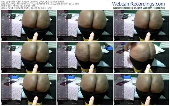 stripchat-lelety79-06-04-2024-14-43-55