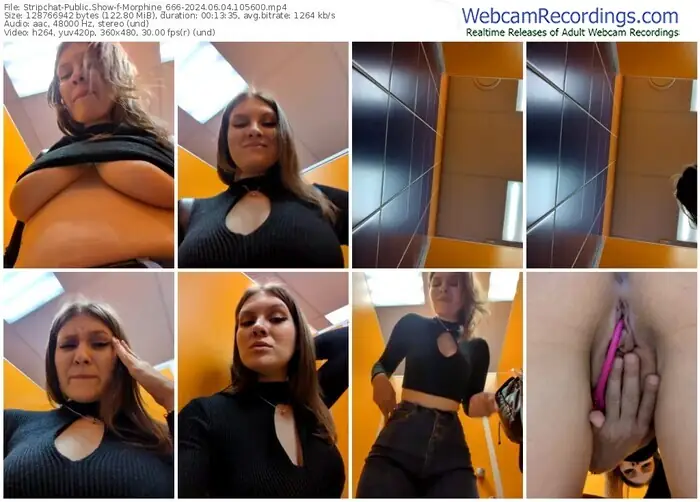stripchat-morphine_666-06-04-2024-10-56-00