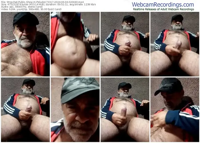 stripchat-peludo173317-06-04-2024-02-04-40