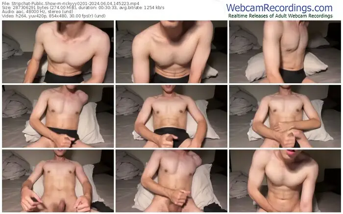 stripchat-rickyyy0201-06-04-2024-14-52-23