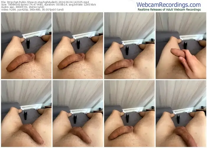 stripchat-stayhighdude01-06-04-2024-14-21-05