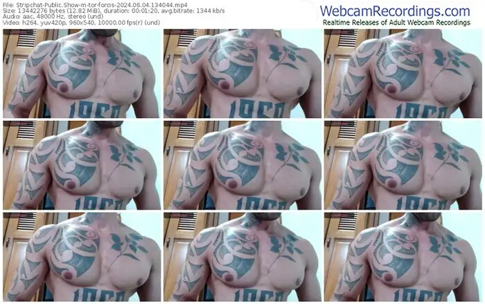 stripchat-tor-forcis-06-04-2024-13-40-44