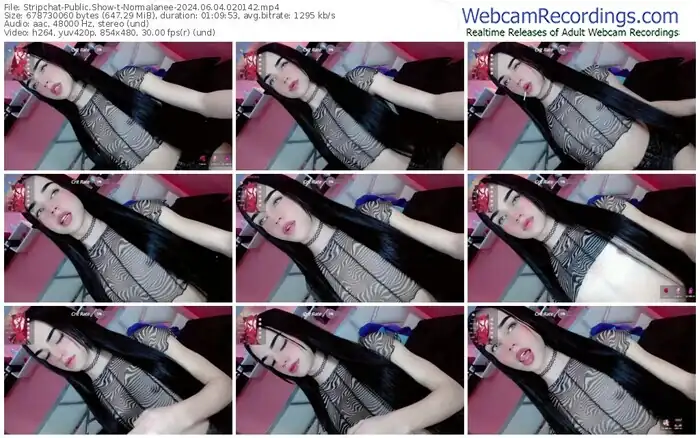 stripchat-normalanee-06-04-2024-02-01-42