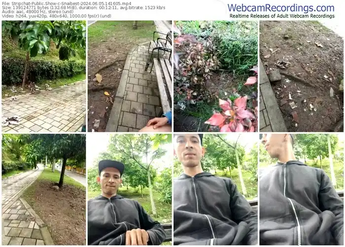 stripchat-snaibest-06-05-2024-14-16-05