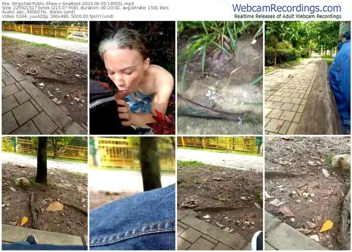 stripchat-snaibest-06-05-2024-14-55-51