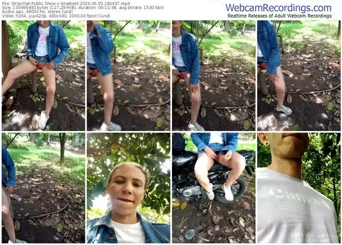 stripchat-snaibest-06-05-2024-18-24-37