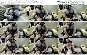 stripchat-hugealphabeast-06-05-2024-23-04-42