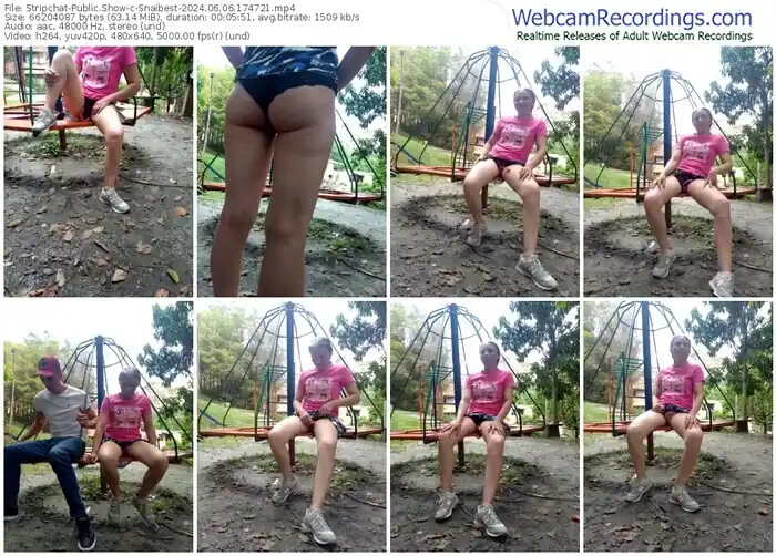 stripchat-snaibest-06-06-2024-17-47-21